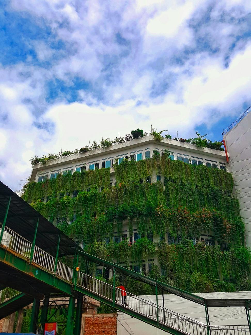 Sustainable Architecture